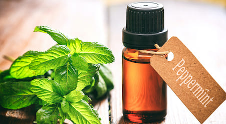 Peppermint oil