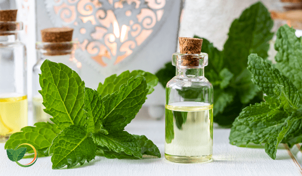 Mentha Oil 